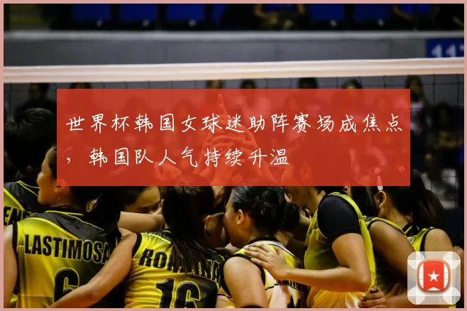 世界杯韩国女球迷助阵赛场成焦点,韩国队人气持续升温