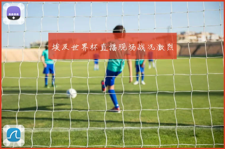 埃及世界杯直播现场战况激烈