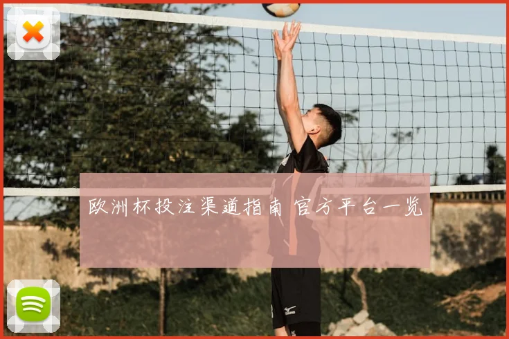 欧洲杯投注渠道指南 官方平台一览