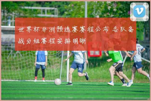 世界杯非洲预选赛赛程公布 各队备战分组赛程安排明晰
